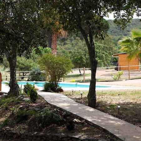 Villa Villekulla Dependance Avec Spa Privatif Le Plan-de-la-Tour Dış mekan fotoğraf